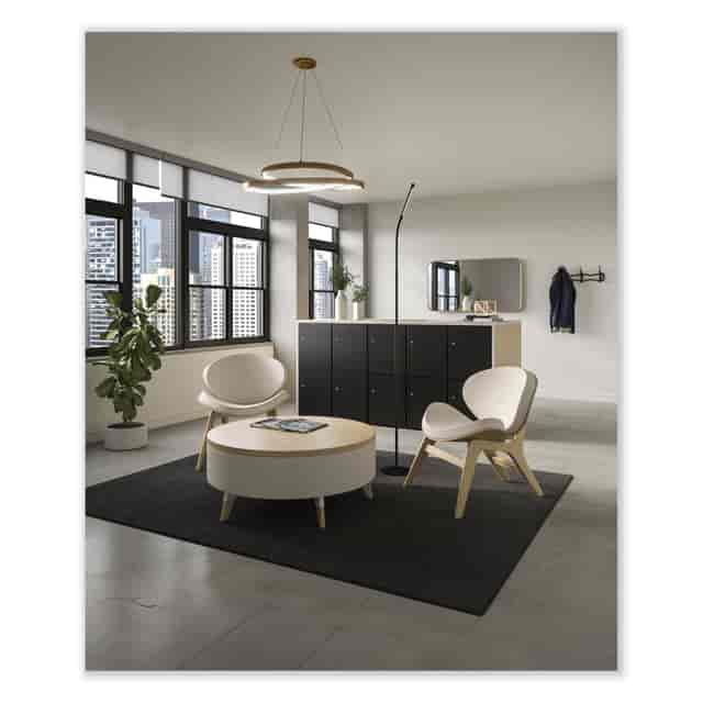 SAF1017BL Product Image 2