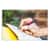 ZEB48320 Image Thumbnail 3