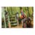 EGO12205 Image Thumbnail 2