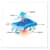 EGO12584 Image Thumbnail 1