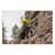 EGO14970 Image Thumbnail 1