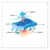 EGO12587 Image Thumbnail 1