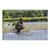 EGO12627 Image Thumbnail 2