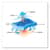 EGO12586 Image Thumbnail 2
