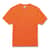 EGO21564 Image Thumbnail 1