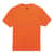 EGO21563 Image Thumbnail 3