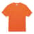 EGO21567 Image Thumbnail 1