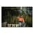EGO13153 Image Thumbnail 3