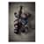 EGO17732 Image Thumbnail 3
