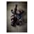 EGO17735 Image Thumbnail 3