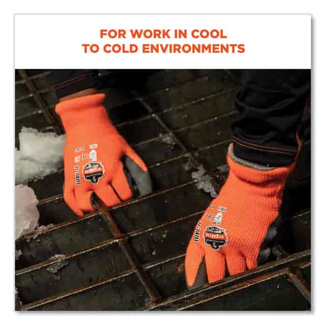 EGO17896 Product Image 5