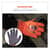 EGO17893 Image Thumbnail 5