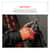 EGO17896 Image Thumbnail 6