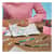 PAP2125411 Image Thumbnail 5