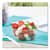 SCCSD5 Image Thumbnail 5