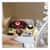 SCH1585 Image Thumbnail 1