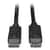 TRPP580003 Image Thumbnail 1