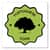 BVCXA429993700 Image Thumbnail 2