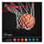 CSIRBB2 Image Thumbnail 2