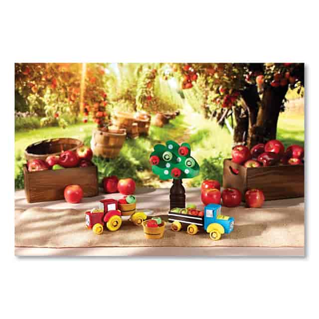CYO232413 Product Image 6