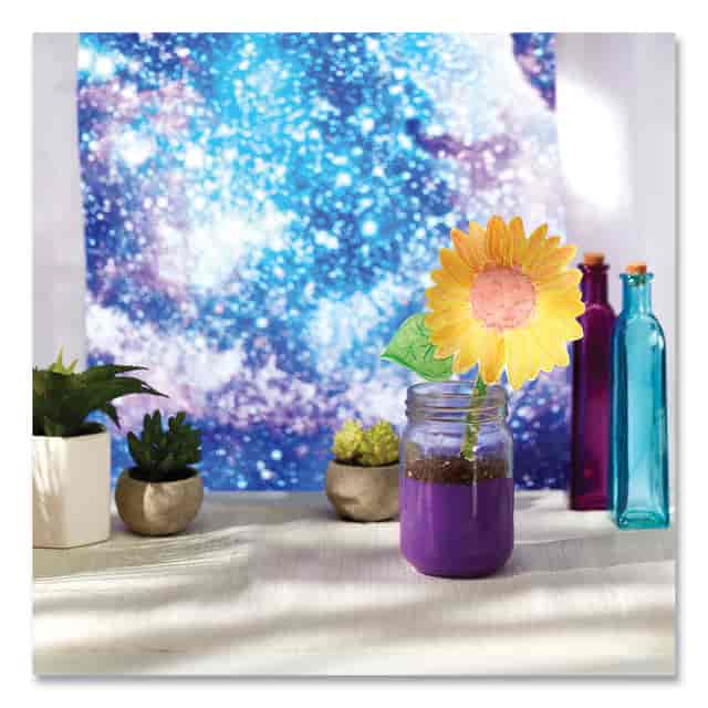 CYO530081 Product Image 9