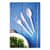 VEGVWSP65 Image Thumbnail 5