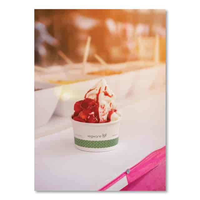 VEGSC06G Product Image 5