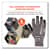 EGO10515 Image Thumbnail 4