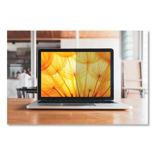 MMMBPNMS002 Product Image 2