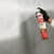 RST356880 Image Thumbnail 2