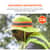 EGO12594 Image Thumbnail 2