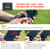 EGO19702 Image Thumbnail 2