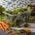 CFS3066207 Image Thumbnail 3