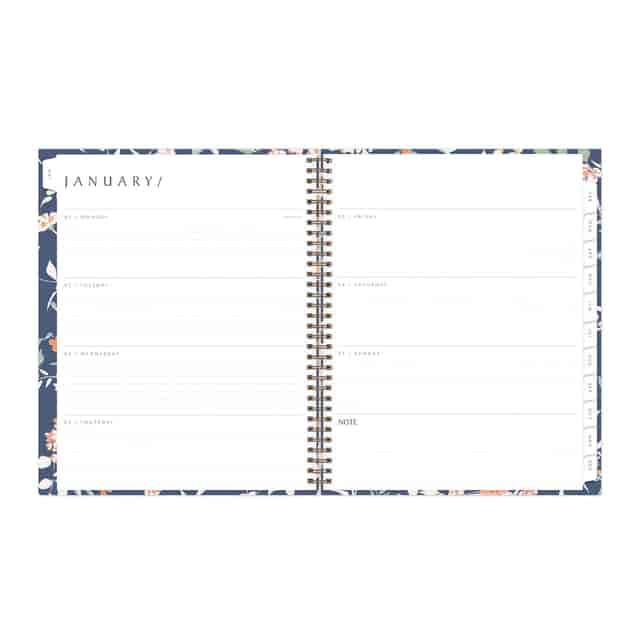 BLS138325 Product Image 3